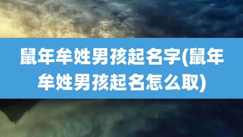 鼠年牟姓男孩起名字(鼠年牟姓男孩起名怎么取)