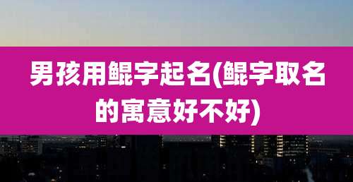 男孩用鲲字起名(鲲字取名的寓意好不好)