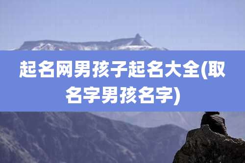 起名网男孩子起名大全(取名字男孩名字)