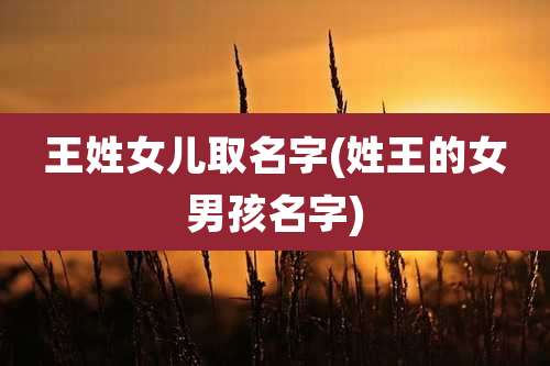 王姓女儿取名字(姓王的女男孩名字)