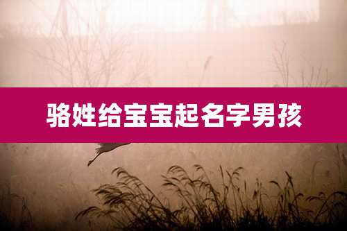 骆姓给宝宝起名字男孩