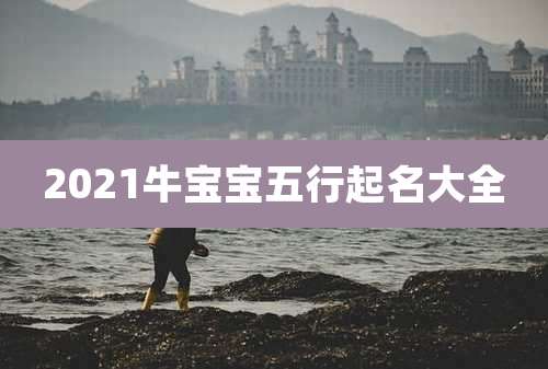 2021牛宝宝五行起名大全