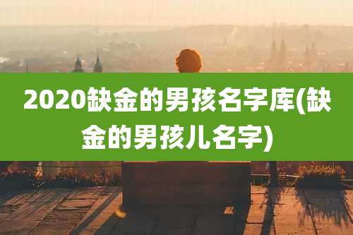 2020缺金的男孩名字库(缺金的男孩儿名字)
