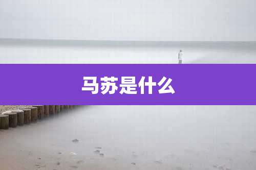 马苏是什么