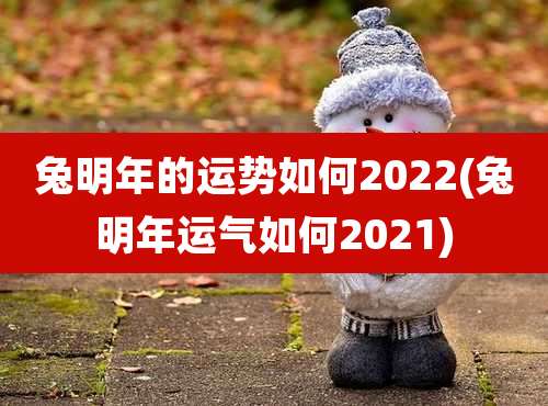兔明年的运势如何2022(兔明年运气如何2021)