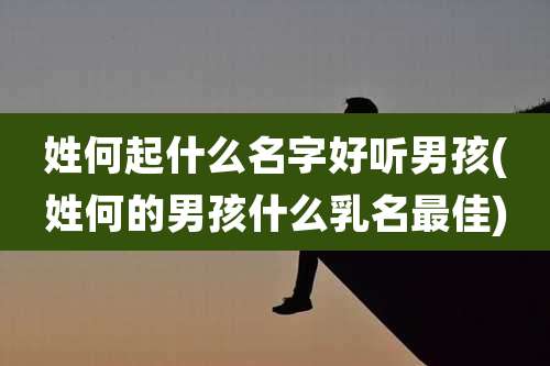 姓何起什么名字好听男孩(姓何的男孩什么乳名最佳)