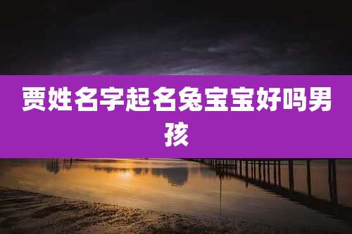 贾姓名字起名兔宝宝好吗男孩
