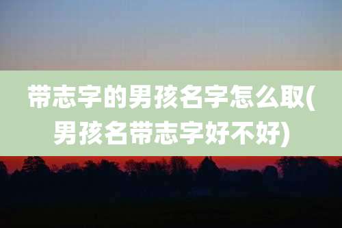 带志字的男孩名字怎么取(男孩名带志字好不好)