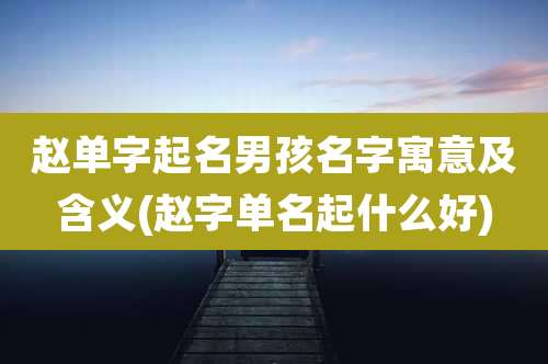赵单字起名男孩名字寓意及含义(赵字单名起什么好)