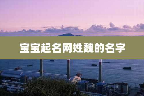 宝宝起名网姓魏的名字