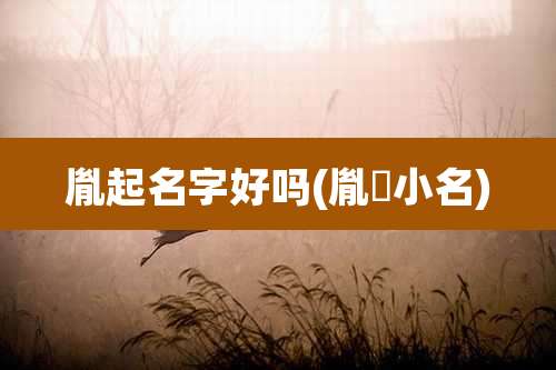 胤起名字好吗(胤禛小名)