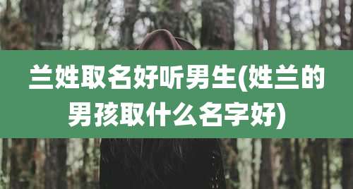 兰姓取名好听男生(姓兰的男孩取什么名字好)