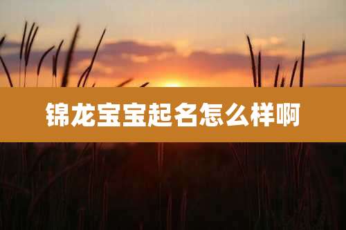 锦龙宝宝起名怎么样啊