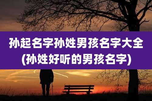 孙起名字孙姓男孩名字大全(孙姓好听的男孩名字)