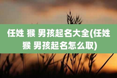 任姓 猴 男孩起名大全(任姓 猴 男孩起名怎么取)