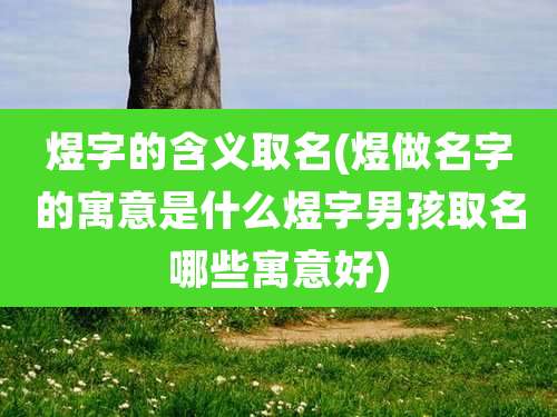 煜字的含义取名(煜做名字的寓意是什么煜字男孩取名哪些寓意好)