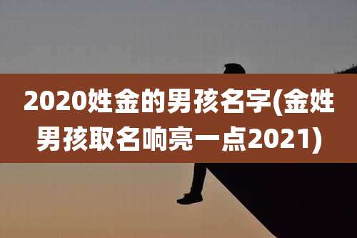 2020姓金的男孩名字(金姓男孩取名响亮一点2021)