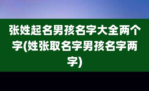 张姓起名男孩名字大全两个字(姓张取名字男孩名字两字)