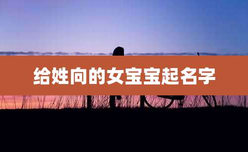 给姓向的女宝宝起名字