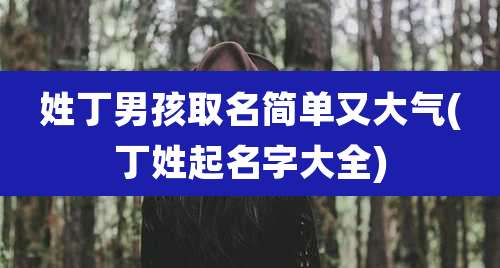 姓丁男孩取名简单又大气(丁姓起名字大全)