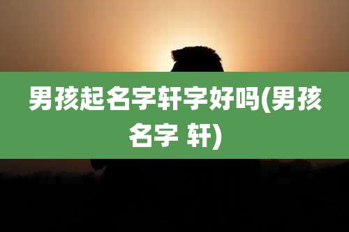 男孩起名字轩字好吗(男孩名字 轩)