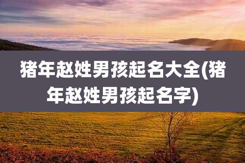 猪年赵姓男孩起名大全(猪年赵姓男孩起名字)