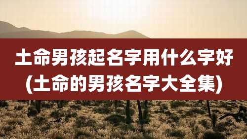 土命男孩起名字用什么字好(土命的男孩名字大全集)