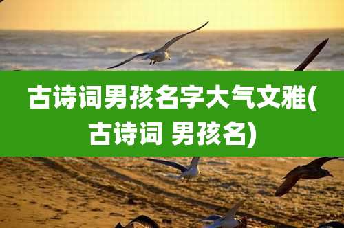 古诗词男孩名字大气文雅(古诗词 男孩名)