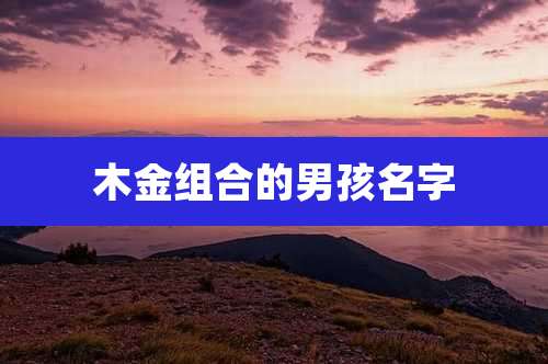木金组合的男孩名字