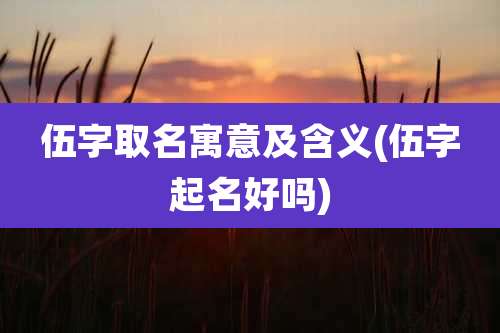 伍字取名寓意及含义(伍字起名好吗)