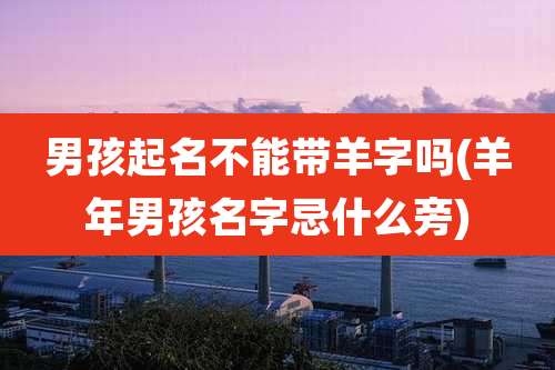 男孩起名不能带羊字吗(羊年男孩名字忌什么旁)