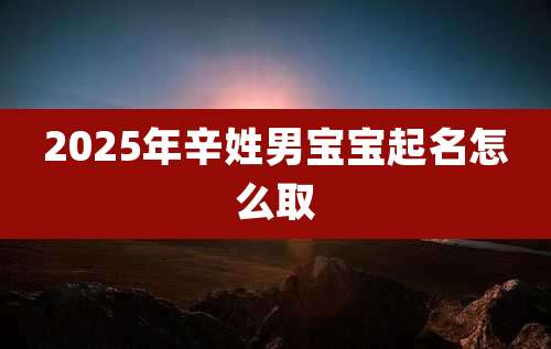 2025年辛姓男宝宝起名怎么取