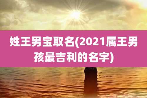 姓王男宝取名(2021属王男孩最吉利的名字)