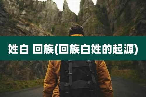 姓白 回族(回族白姓的起源)