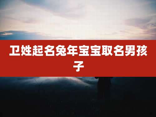 卫姓起名兔年宝宝取名男孩子