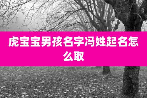 虎宝宝男孩名字冯姓起名怎么取