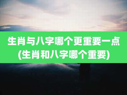 生肖与八字哪个更重要一点(生肖和八字哪个重要)