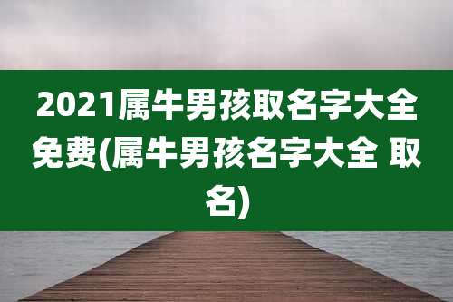 2021属牛男孩取名字大全免费(属牛男孩名字大全 取名)