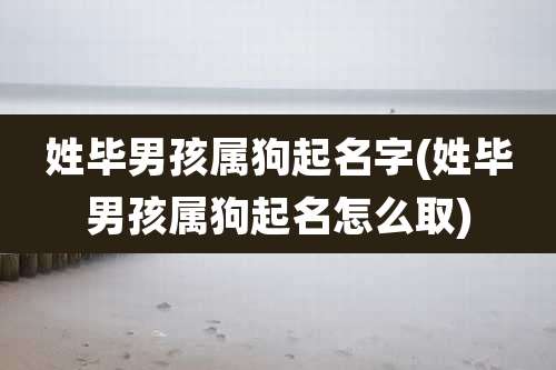 姓毕男孩属狗起名字(姓毕男孩属狗起名怎么取)