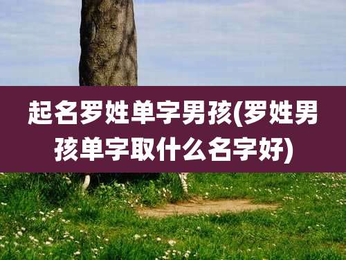 起名罗姓单字男孩(罗姓男孩单字取什么名字好)