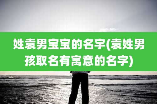 姓袁男宝宝的名字(袁姓男孩取名有寓意的名字)