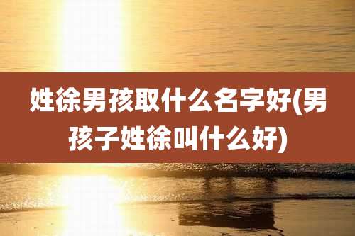 姓徐男孩取什么名字好(男孩子姓徐叫什么好)