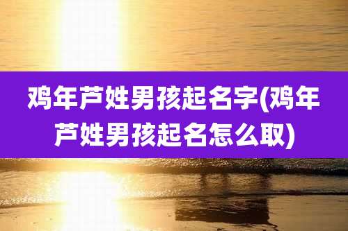 鸡年芦姓男孩起名字(鸡年芦姓男孩起名怎么取)