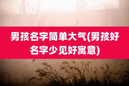男孩名字简单大气(男孩好名字少见好寓意)