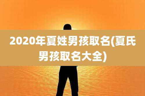 2020年夏姓男孩取名(夏氏男孩取名大全)