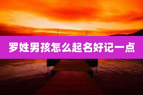 罗姓男孩怎么起名好记一点