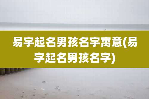 易字起名男孩名字寓意(易字起名男孩名字)
