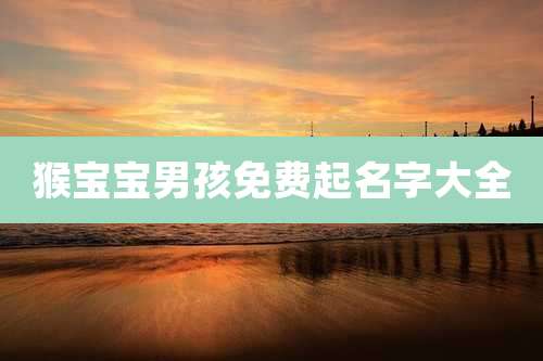 猴宝宝男孩免费起名字大全