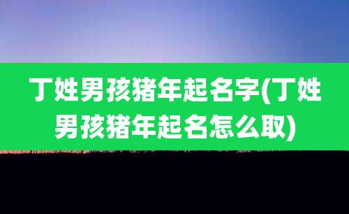 丁姓男孩猪年起名字(丁姓男孩猪年起名怎么取)
