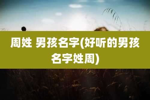 周姓 男孩名字(好听的男孩名字姓周)